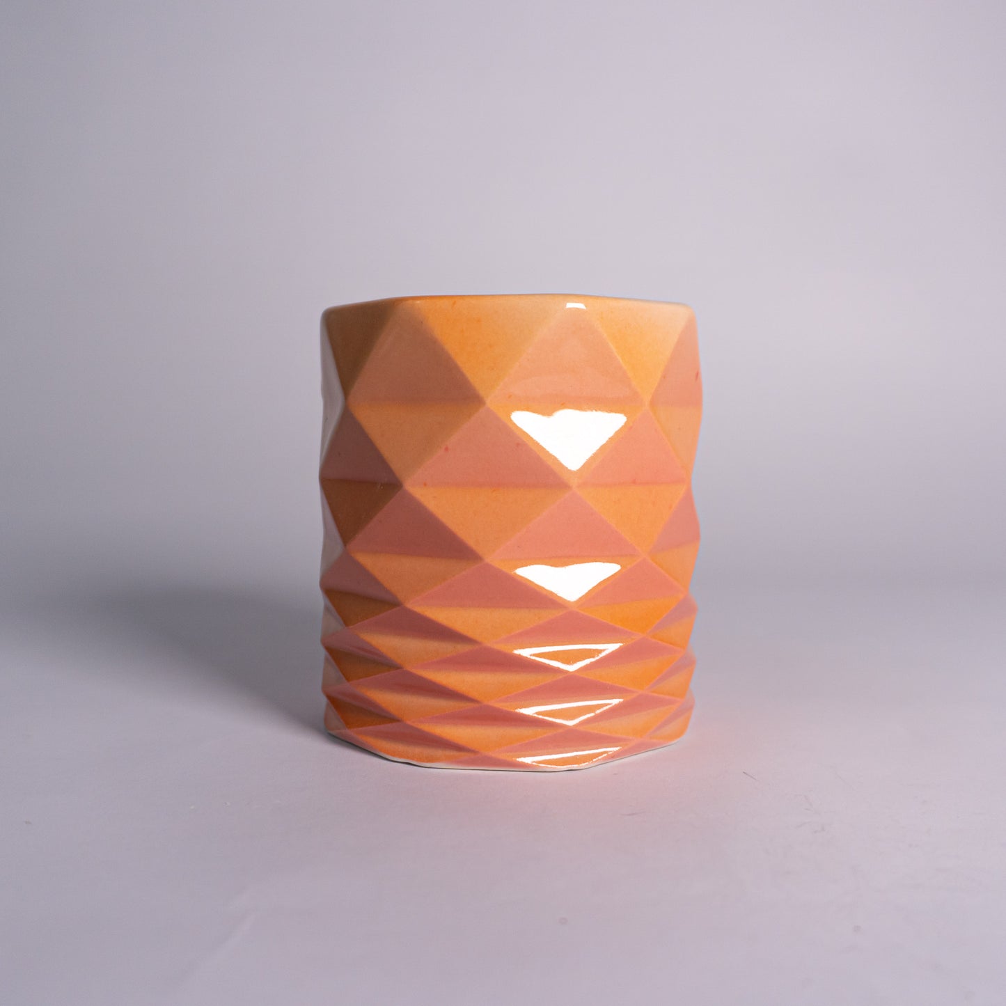 Citrus Accordion Tumbler